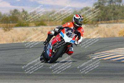 media/Feb-13-2022-SoCal Trackdays (Sun) [[c9210d39ca]]/Turn 4 Tip In (940am)/